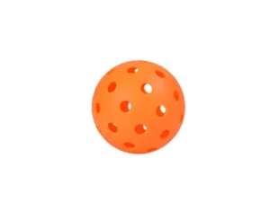 Pickleball Set